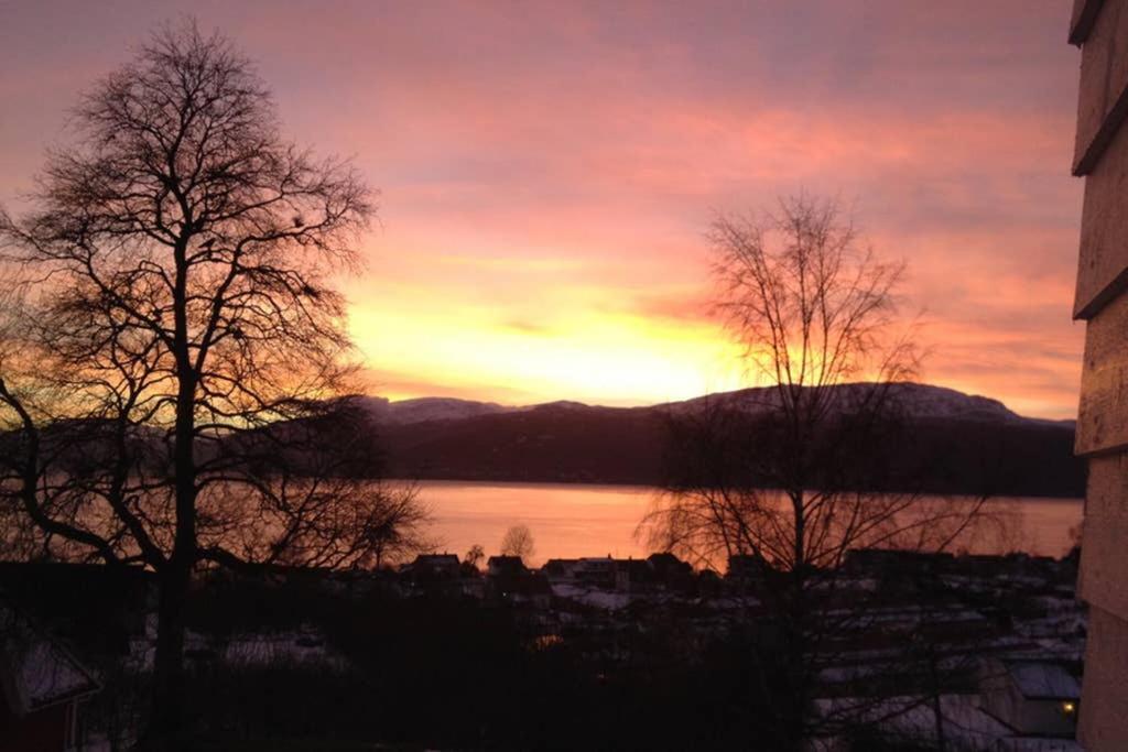 Balestrand Fjordapartments Holmen 19A Zewnętrze zdjęcie